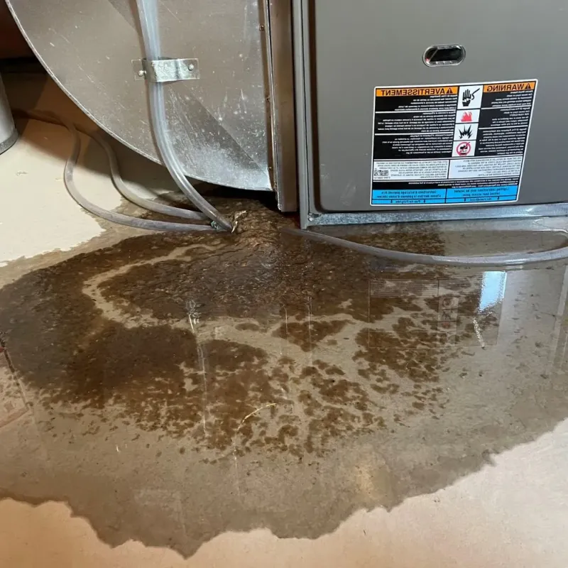 Pipe Burst and Leak Restoration in Blawnox, PA